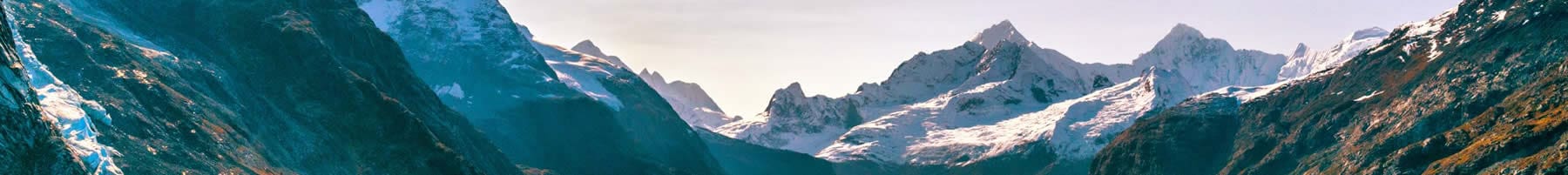 Top banner4