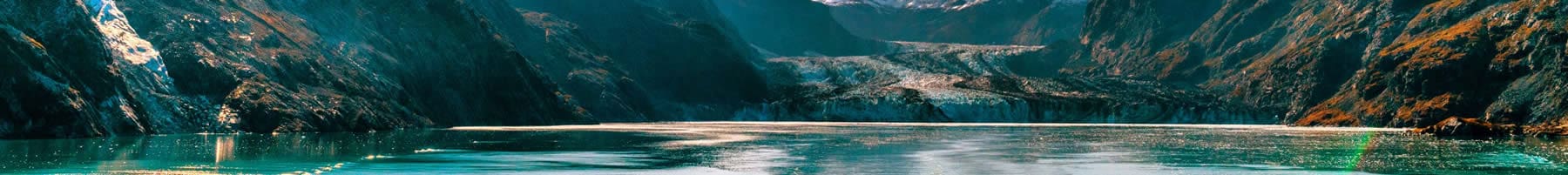 Top banner5